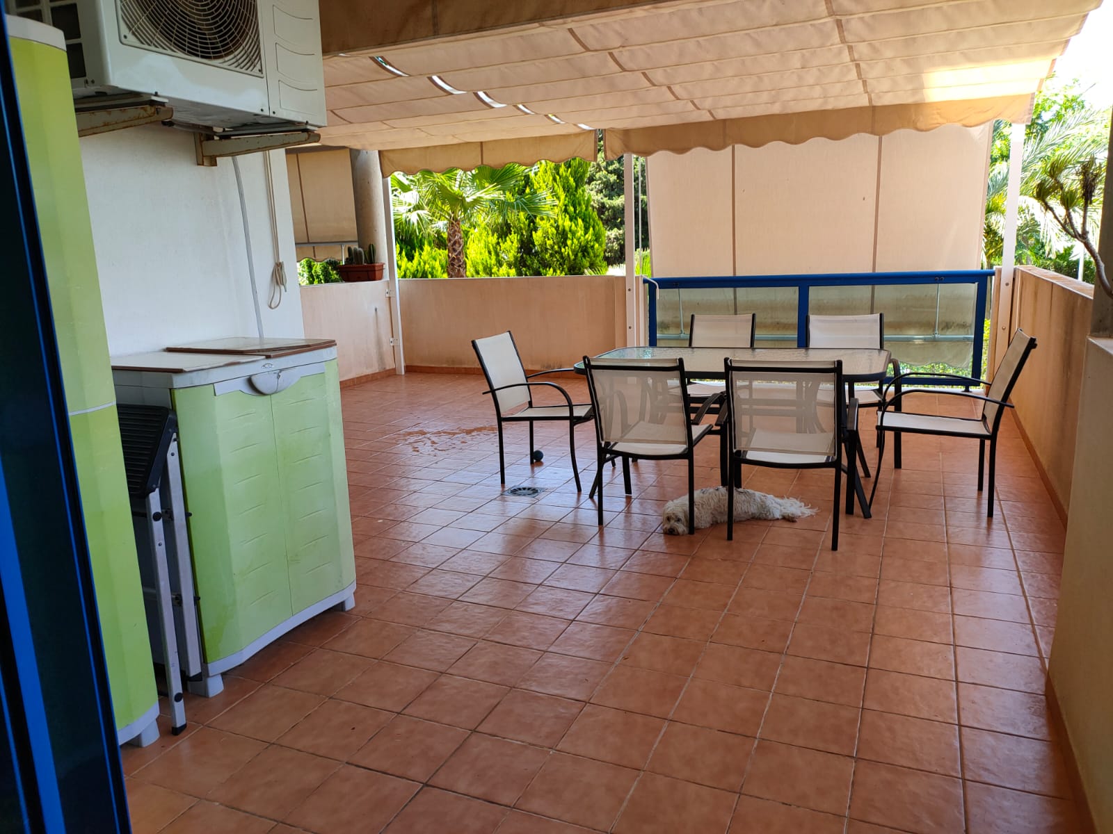 50003_WhatsApp Image 2025-08-18 at 10.14.12.jpeg